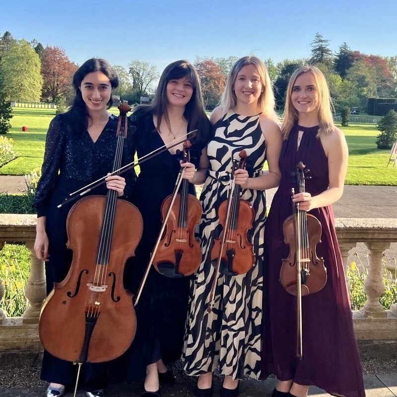 Vita String Quartet